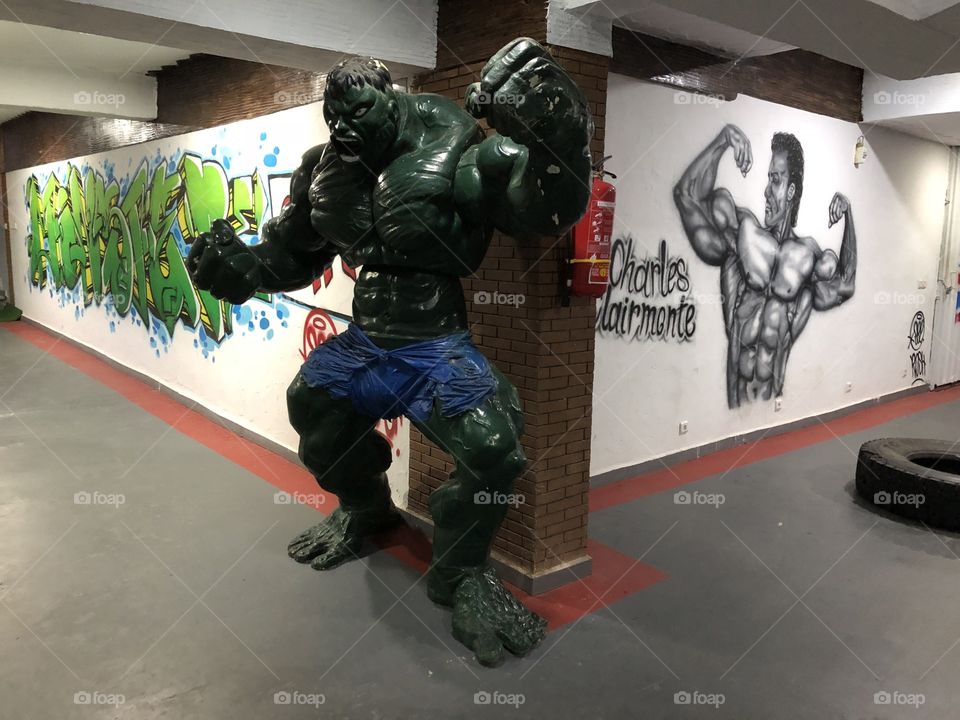 Hulk Arnold Schwarzenegger