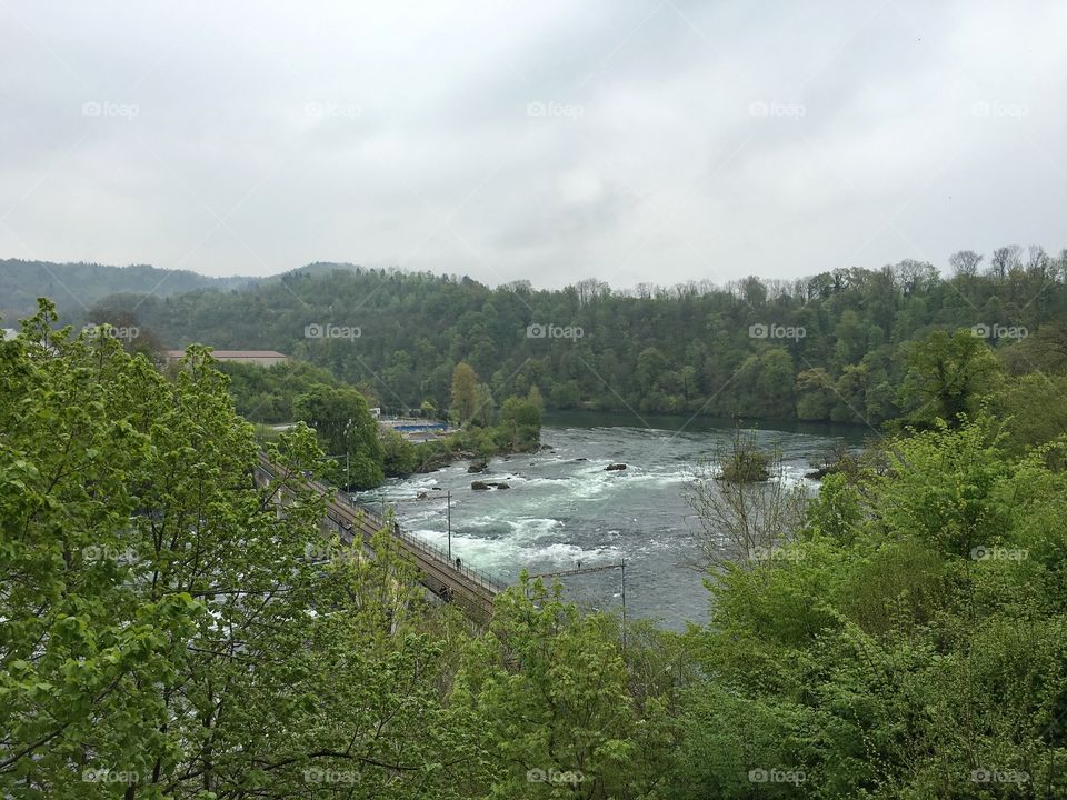 Rheinfalls 