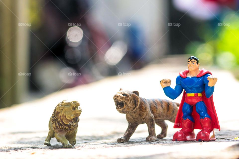 Superman vs Lion