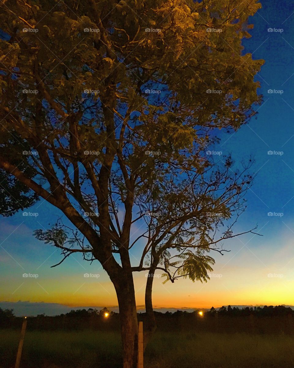 🌅Desperta, #Jundiaí!
Ótima 2a feira a todos.
🍃
#sol
#sun
#sky
#céu
#nature
#manhã
#morning
#alvorada
#natureza
#horizonte
#fotografia
#paisagem
#amanhecer
#mobgraphia
#FotografeiEmJundiaí
#brazil_mobile