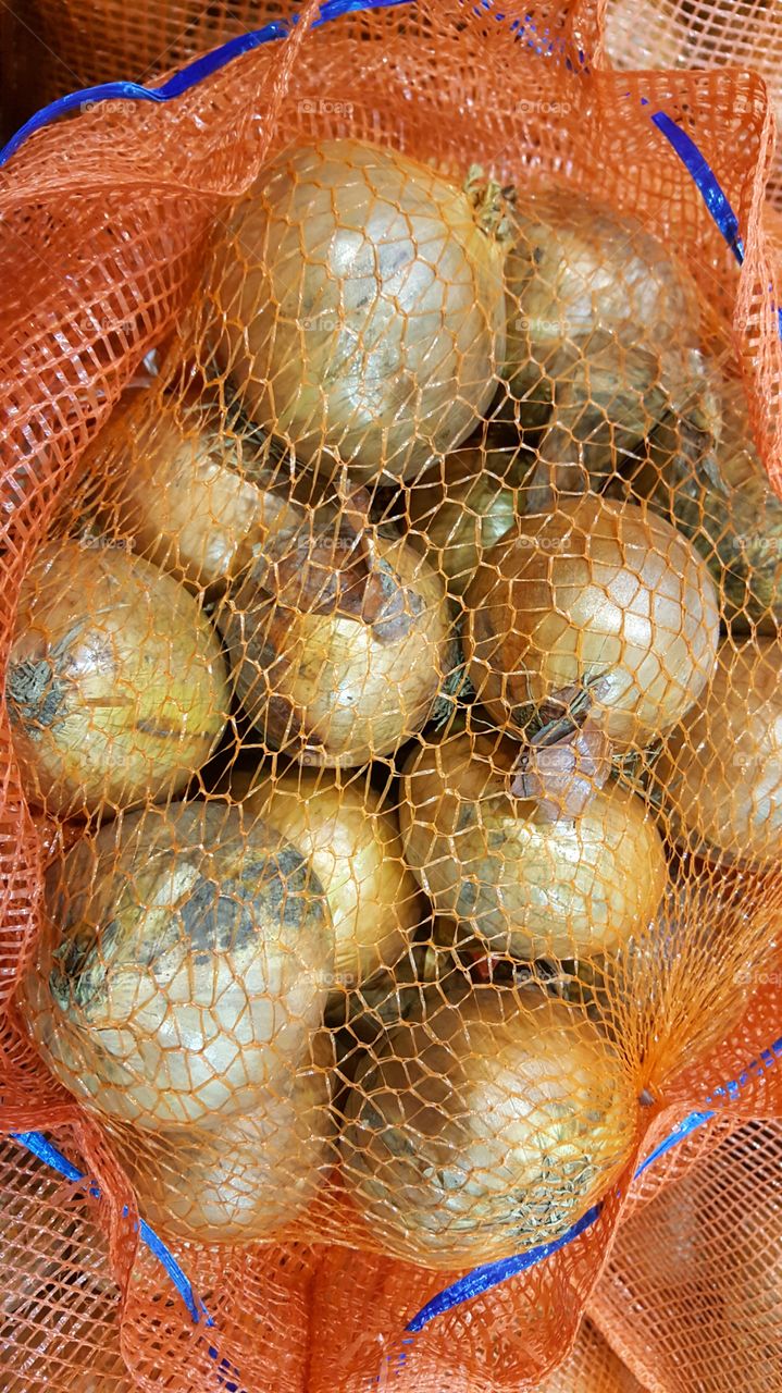 White onions in net bag