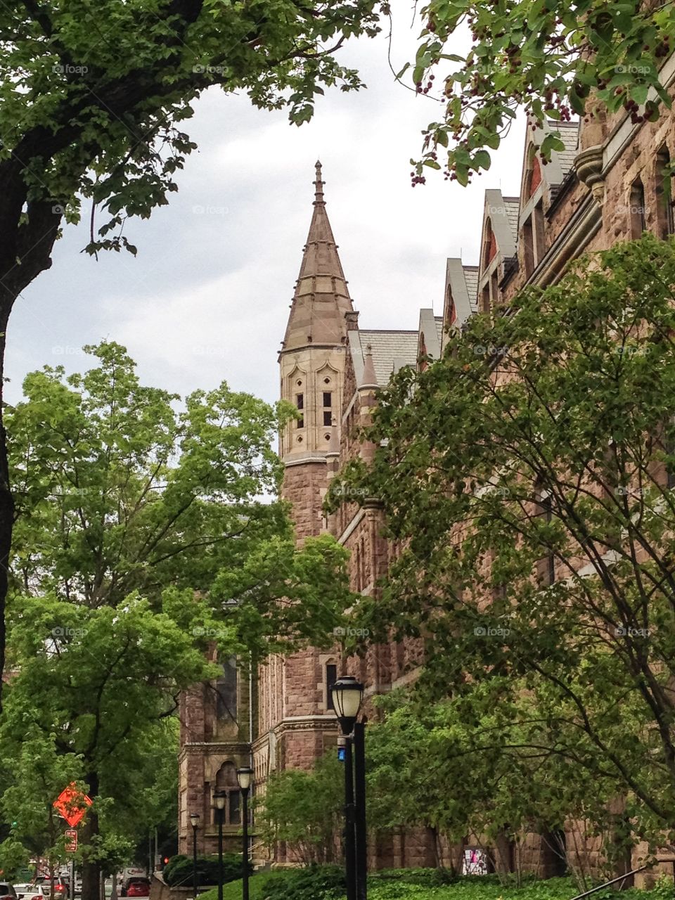 Yale in Summer