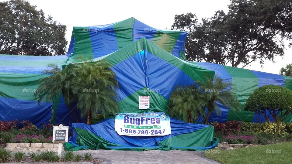 Bugs Begone. fumigation in progress