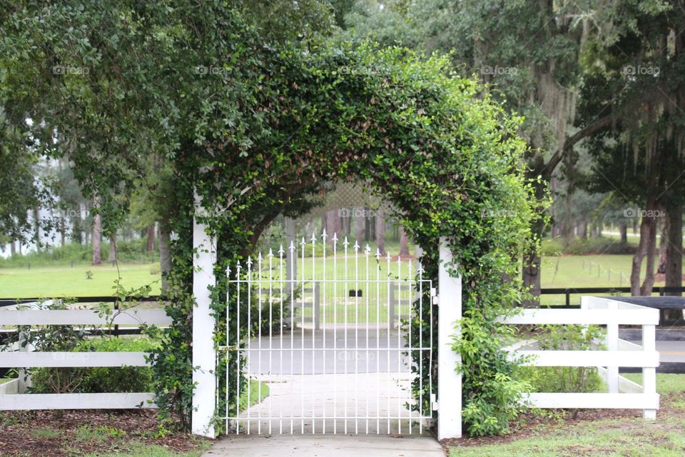 Garden gate 