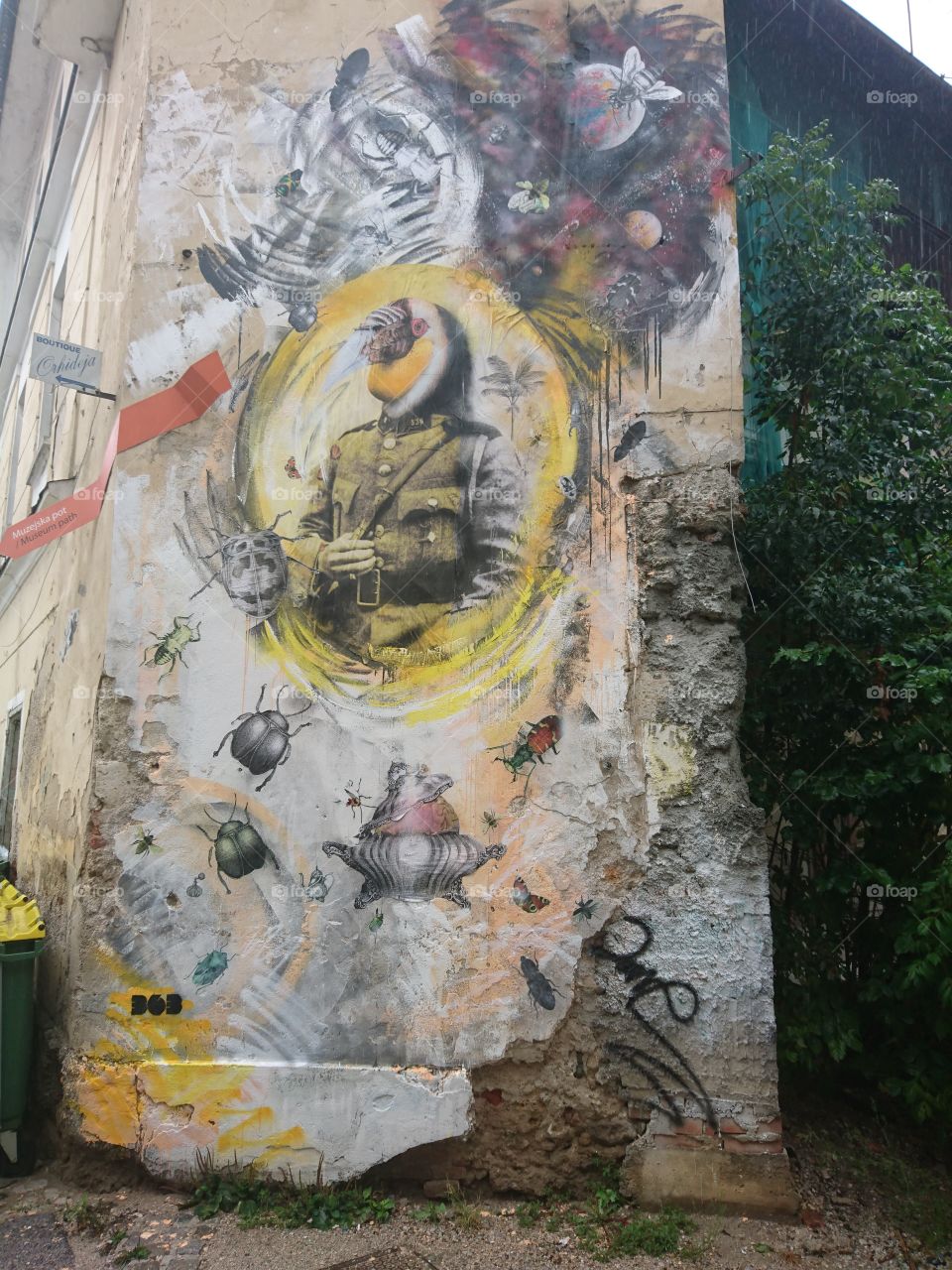 graffitti wall