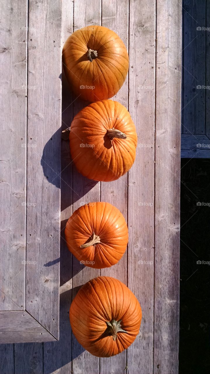High angle view of pumpkins on wood