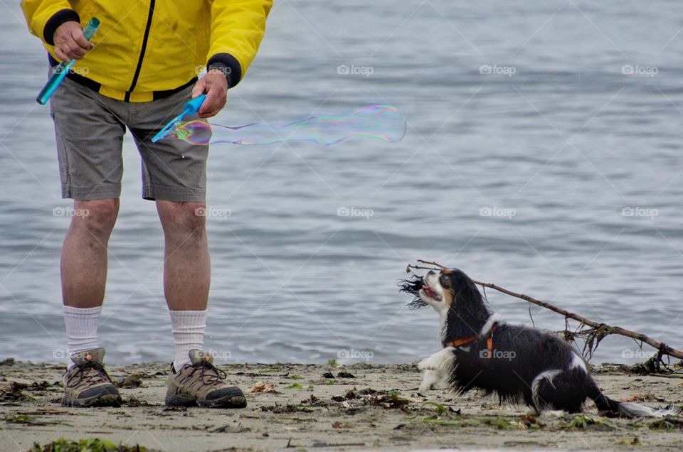 Bubbles on the beach