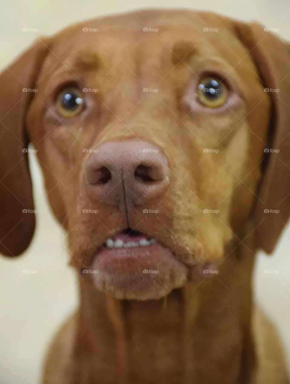 Ahhhh