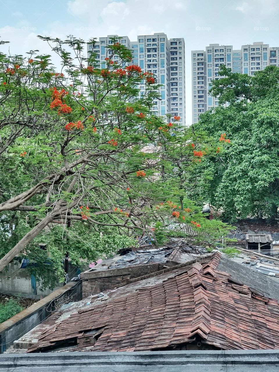 Spring in urban life