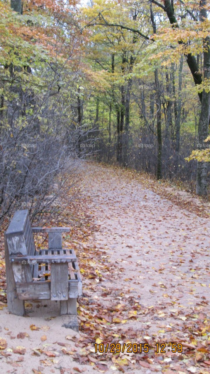 Northern Michigan 