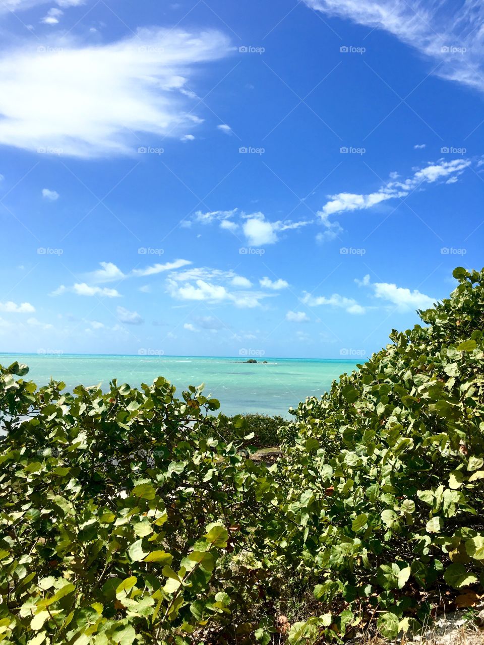 Bahia Honda Beach