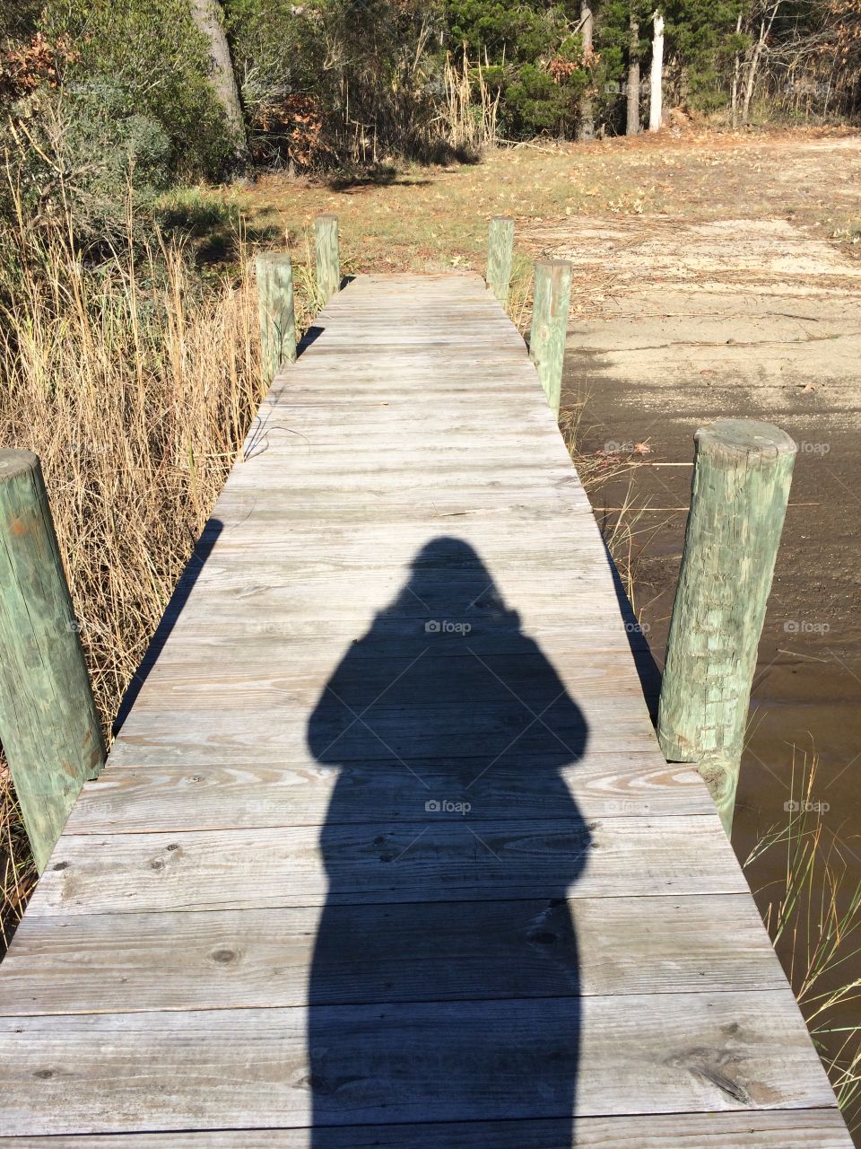 Wood, Nature, Wooden, Boardwalk, No Person