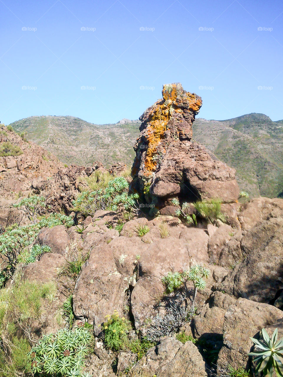 Hiking in Masca, Tenerife