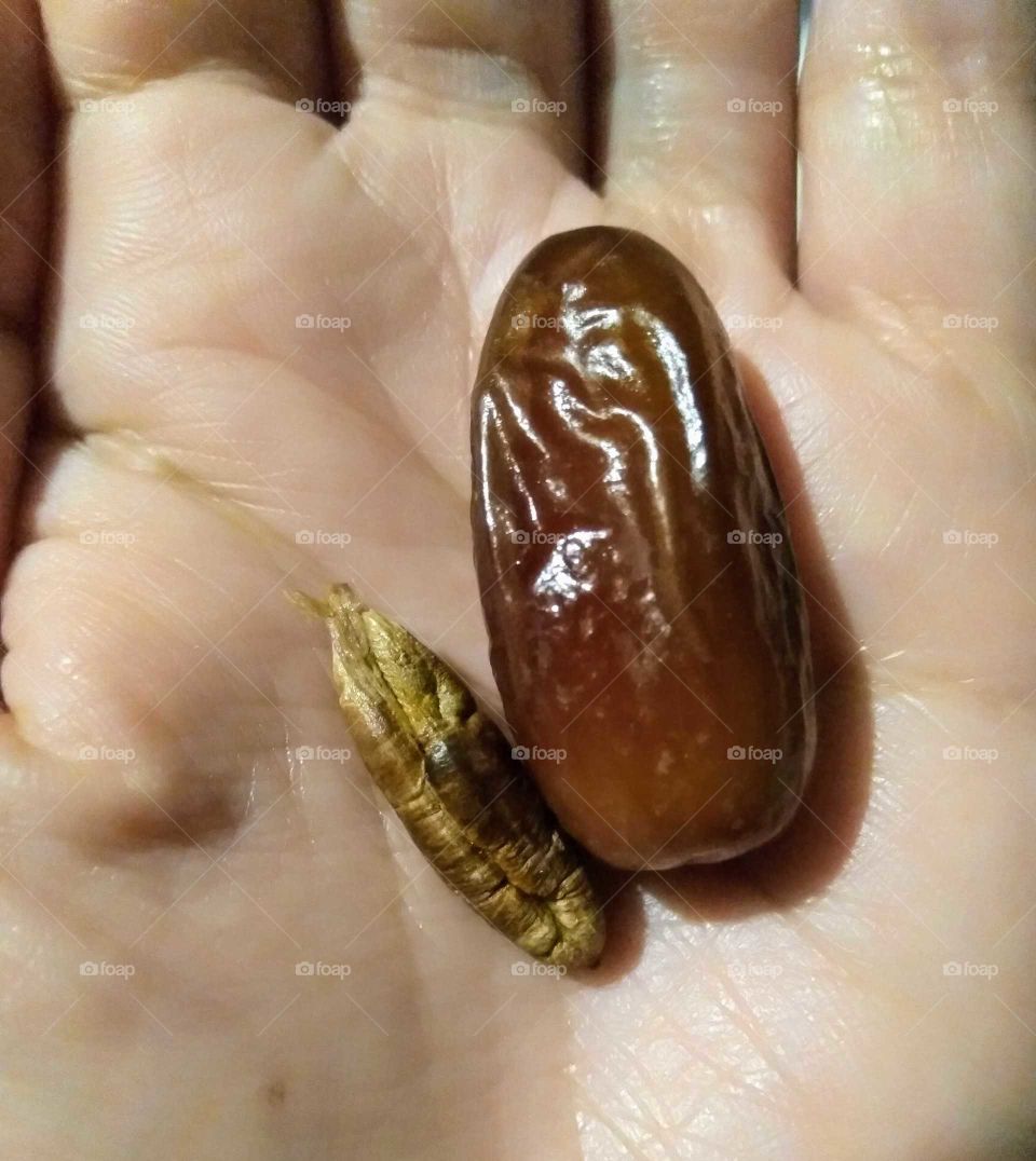 Date stone fruit