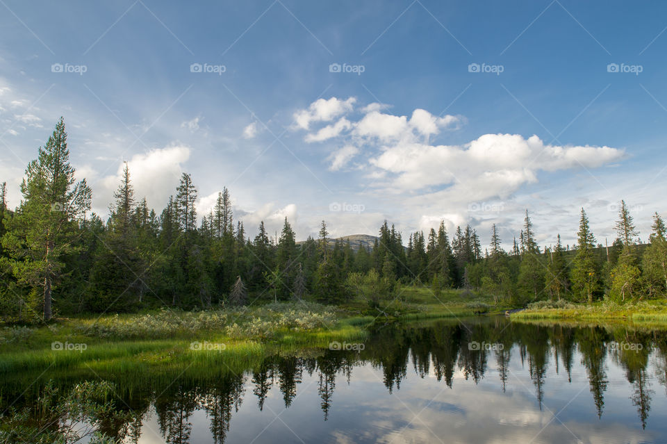 Idyllic view of lake