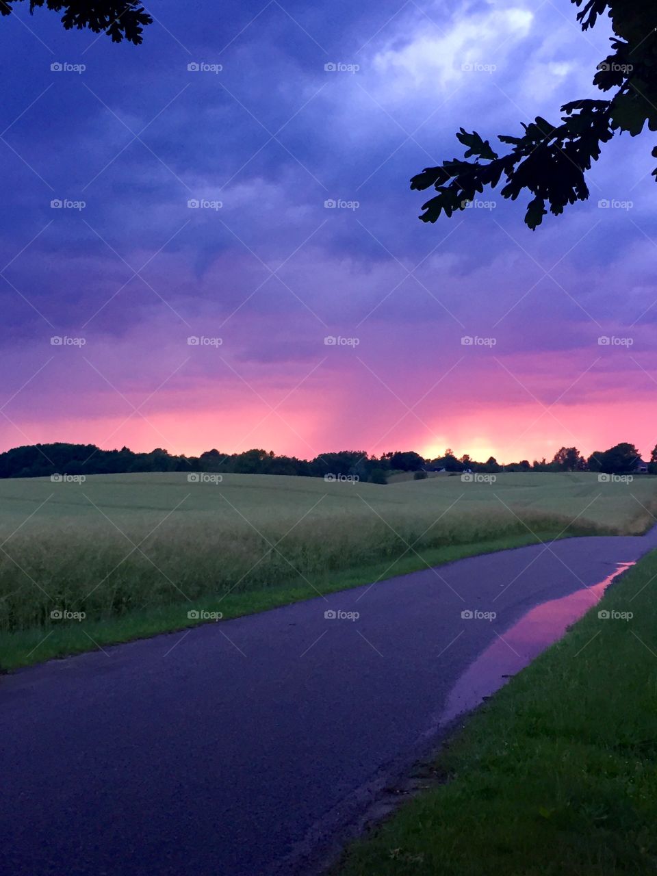 Empty road along with grass field