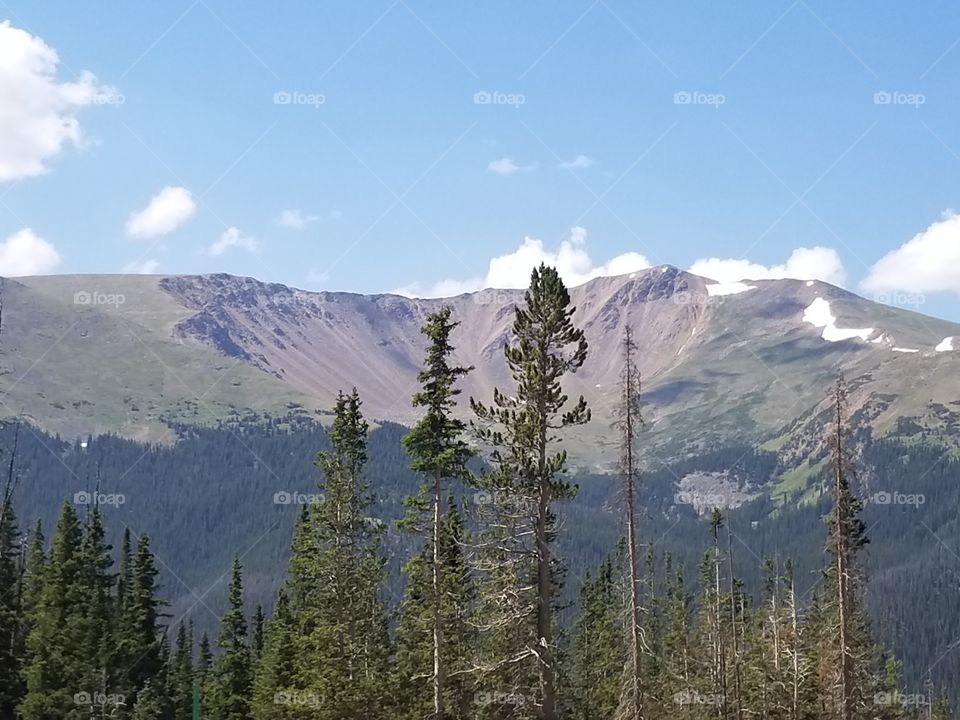 Colorado