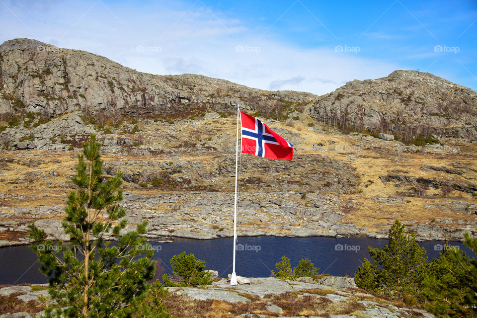 Norwegian flag in nature. 