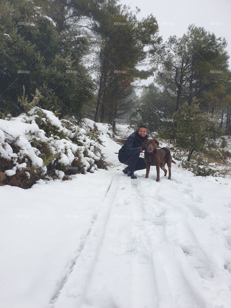 Snow#forest#human#dog