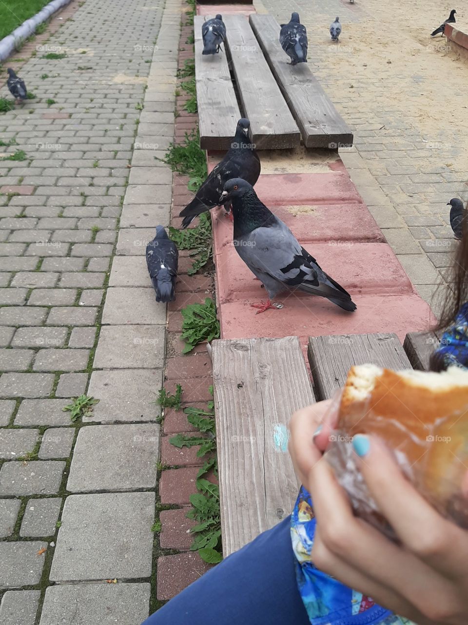 Хоть   крошку   хлеба!