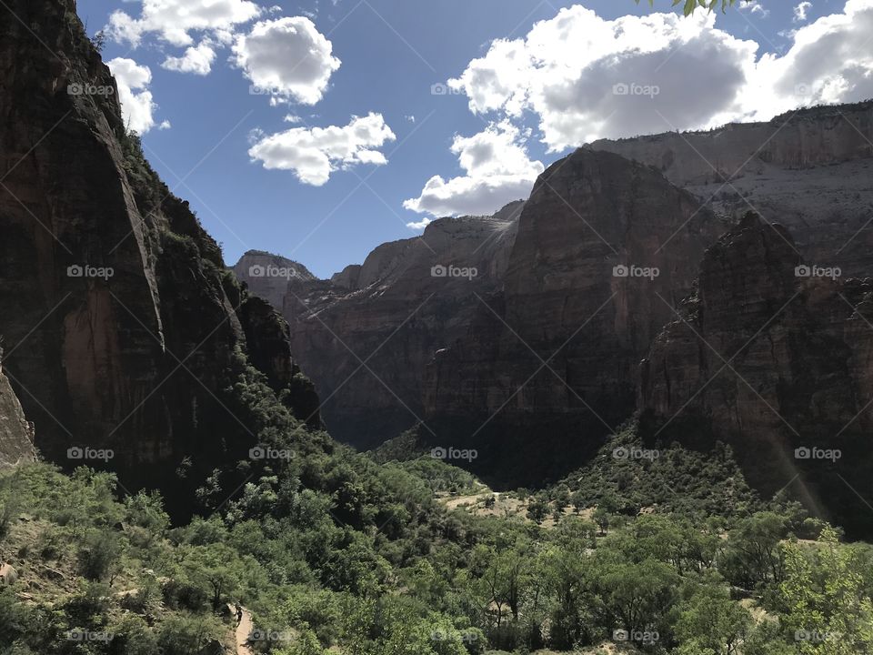 Scenic views, Zion National Park 