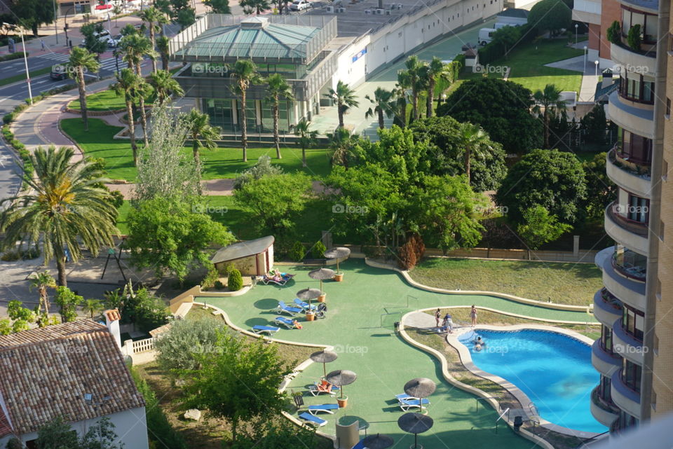 City#view#swimmingpool#urban#trees#building#palms