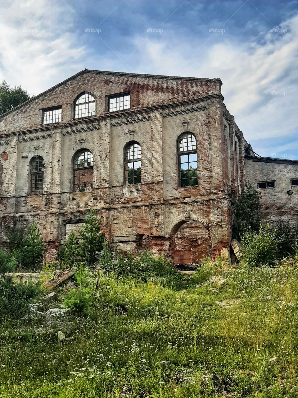 заброшенный завод летом