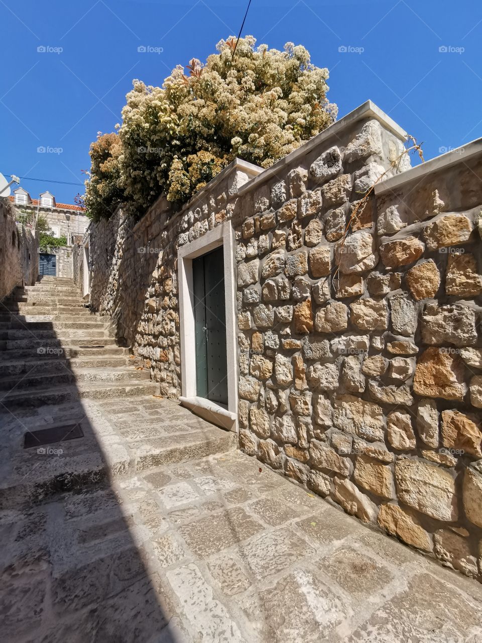 Spring in cavtats street