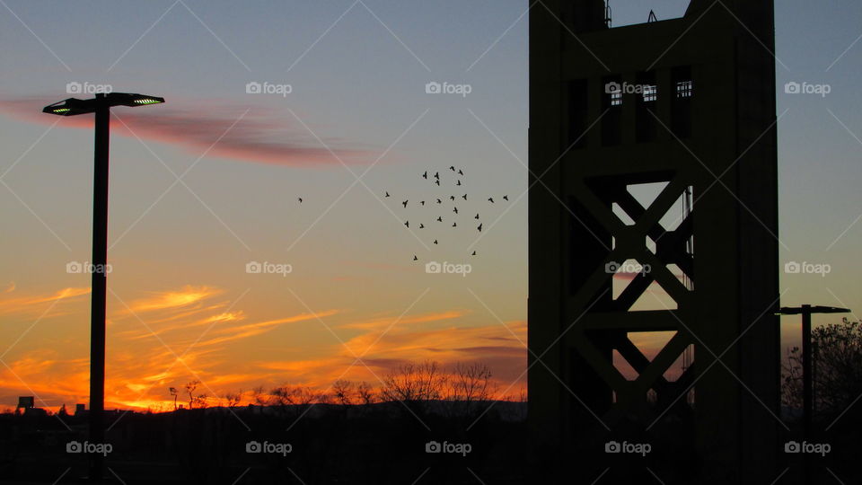 golden Sunset Bridge