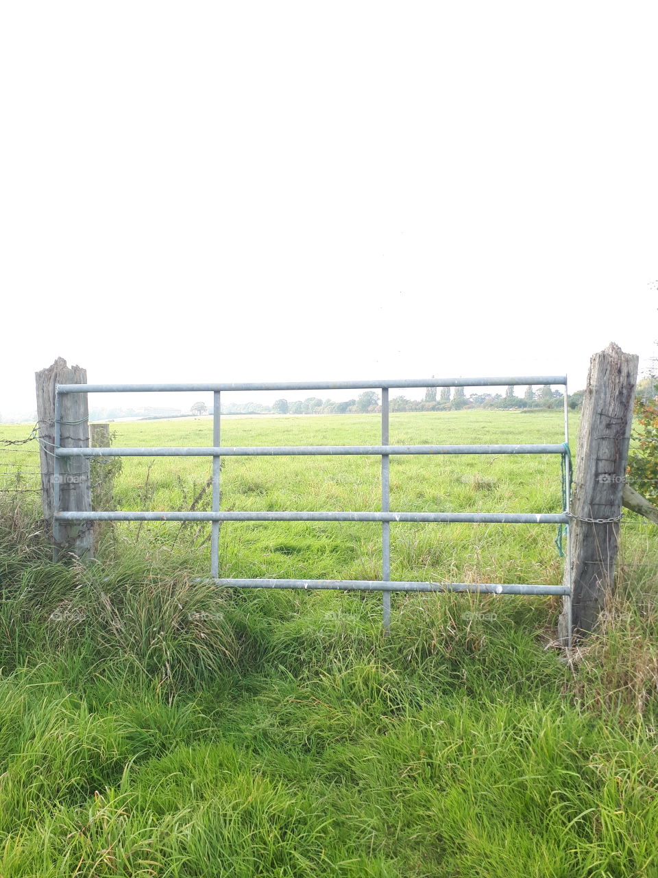 Fence, Landscape, Grass, Farm, Field