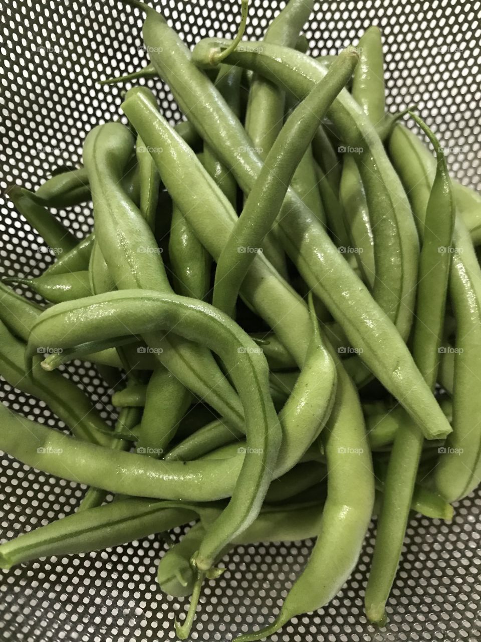 Fresh picked green beans from our garden