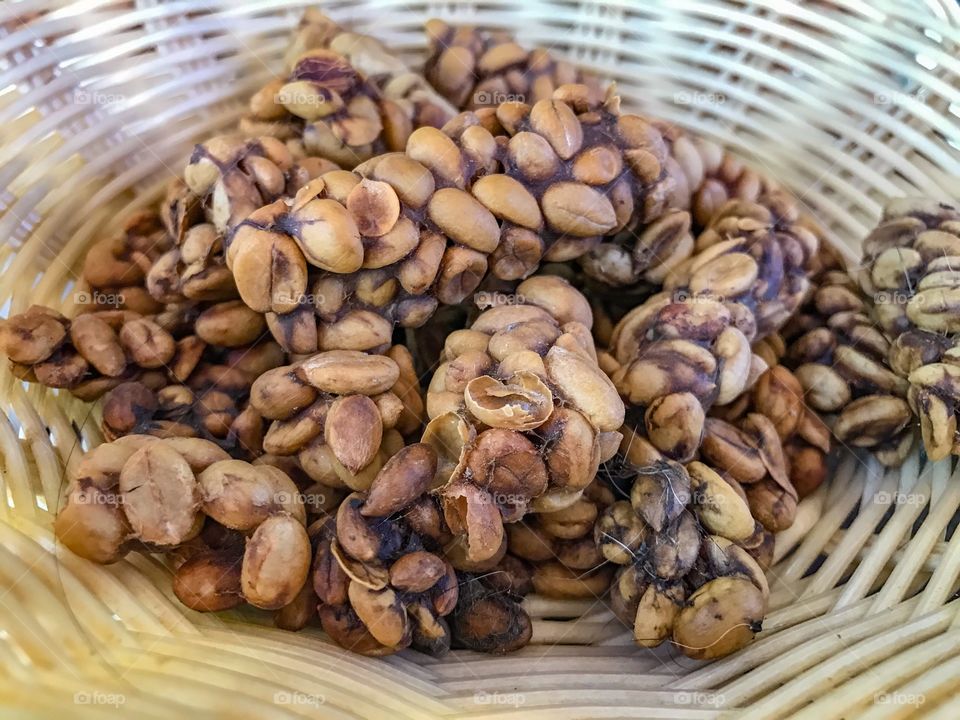 Civet coffee (Kopi Luwak, Kape Alamid, Weasel Coffee), beans extracted from zibet droppings