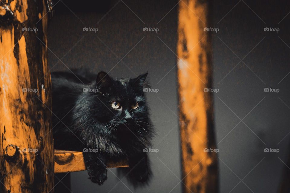 Friday the 13th dark scene.