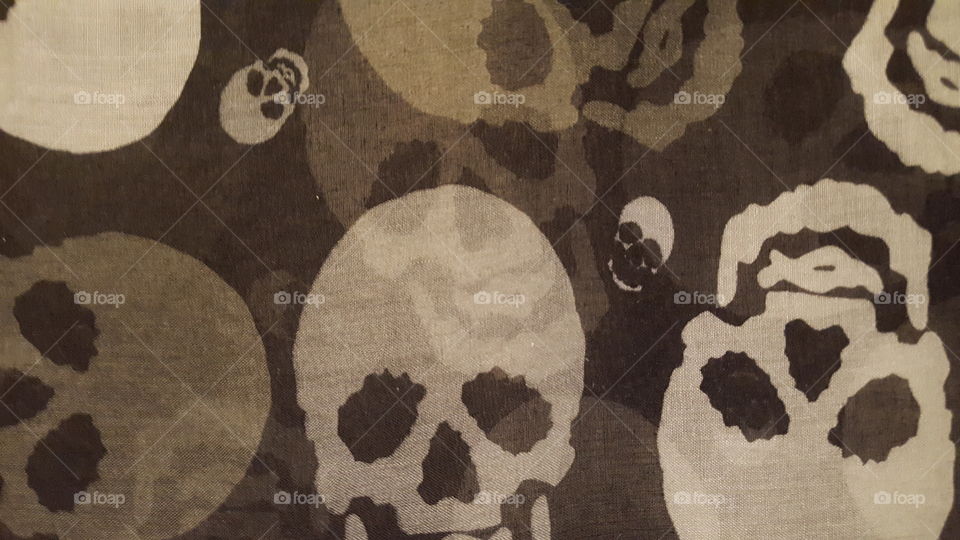 skull by skull fabric