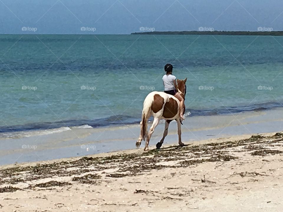 Barefoot Girl on a Horse galloping along seashore 