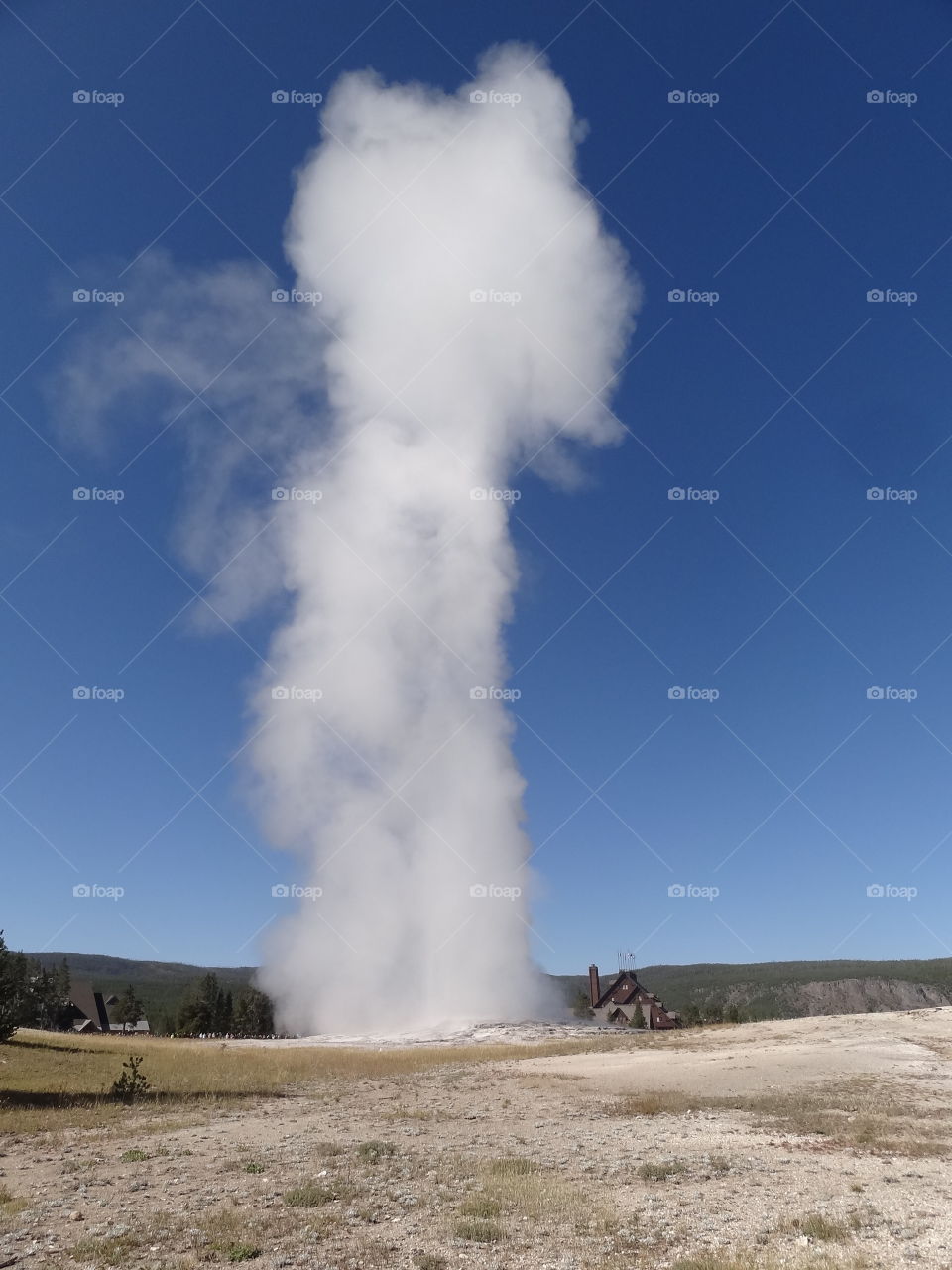 Eruption of Old Faithful in Yellowstone