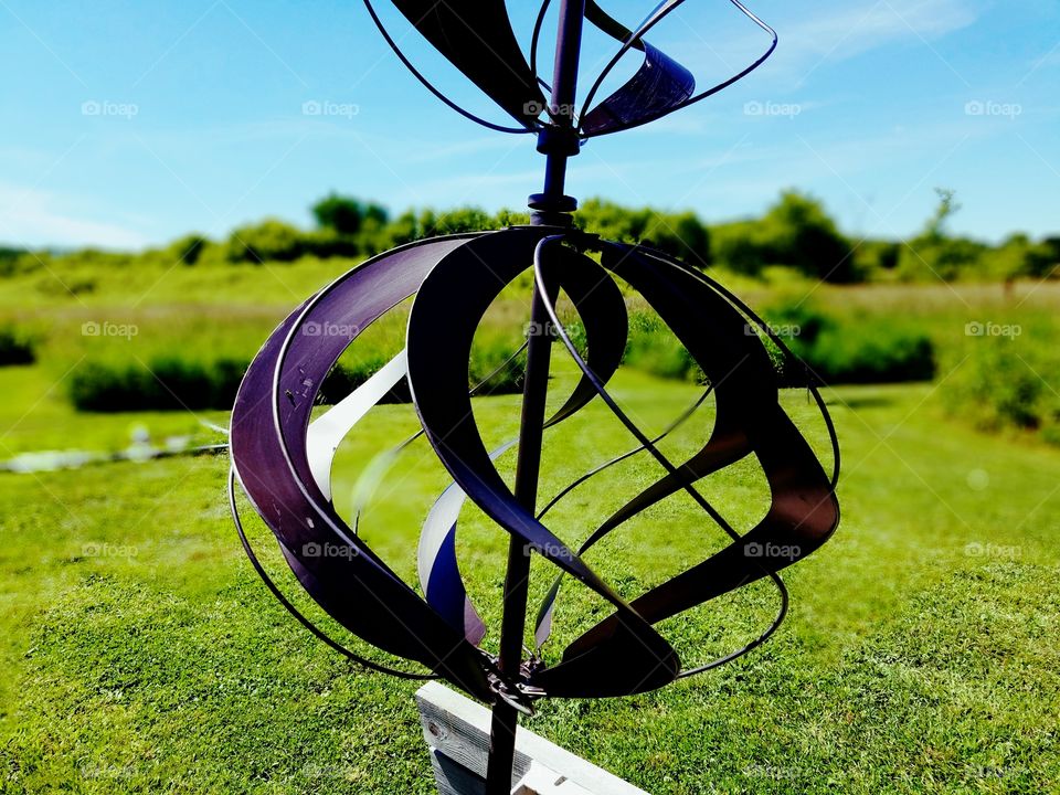 Grass, Field, Nature, Summer, Landscape