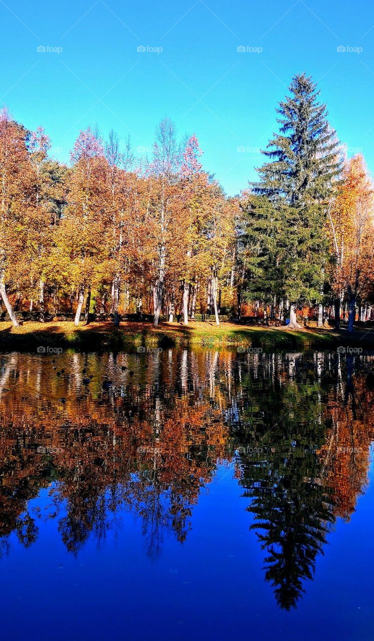 Amazing landscape 🍁🍂 Nature 🍁🍂 Outdoor 🍁🍂 Autumn season 🍁🍂