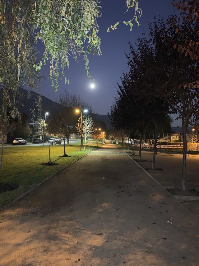 Moon in the night