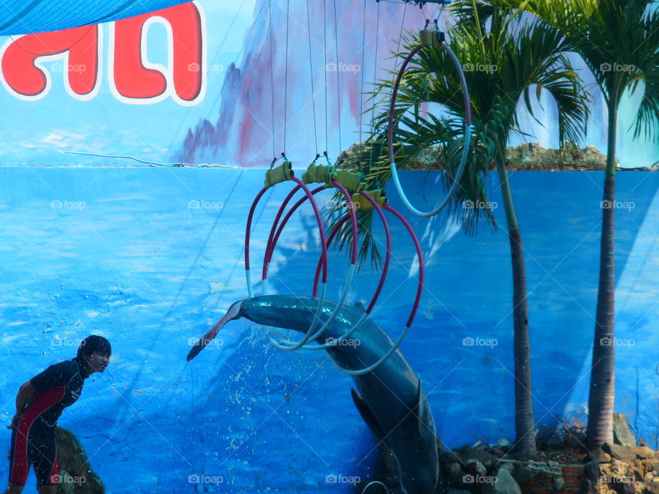 Swimming, Tropical, Water, Dug Out Pool, Underwater