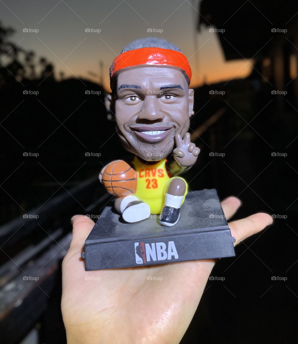 NBA legend LEBRON JAMES