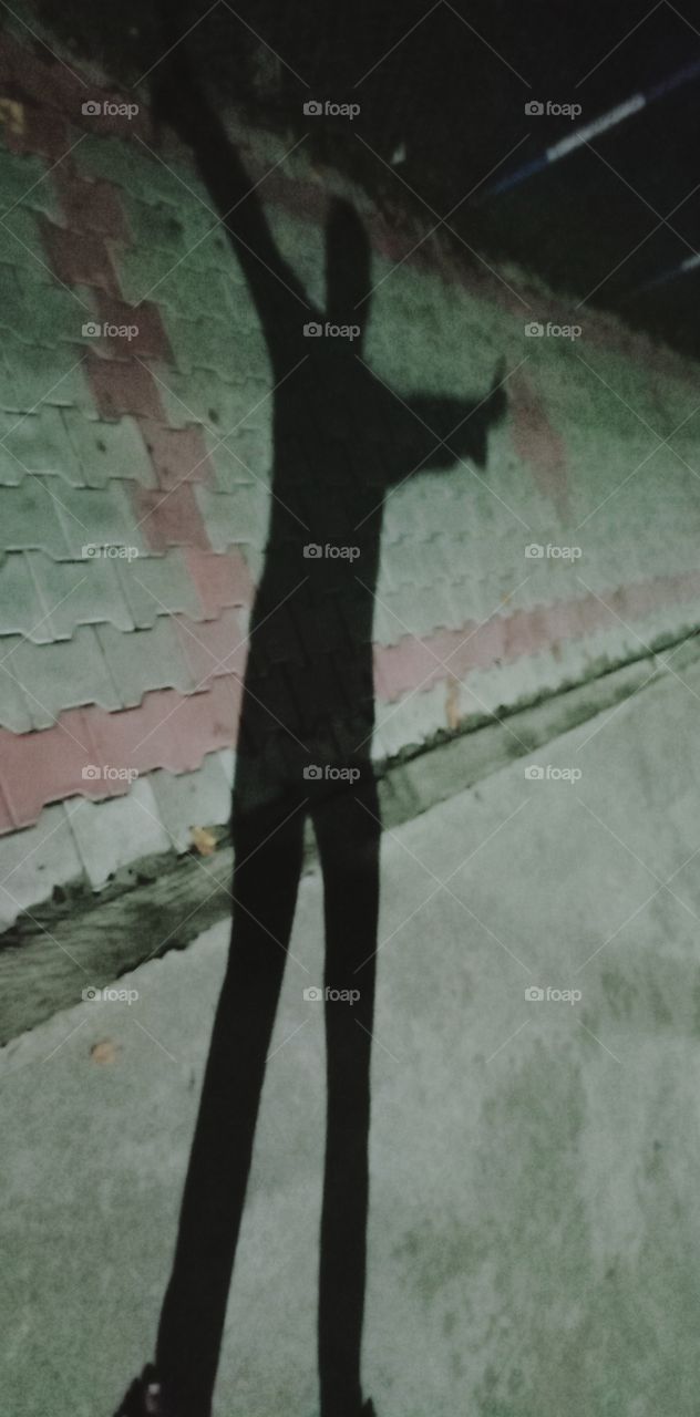 silhouettes and shadows