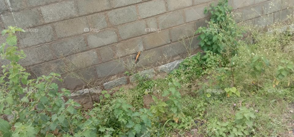 Did you notice a camelgue there.👀❤️✨