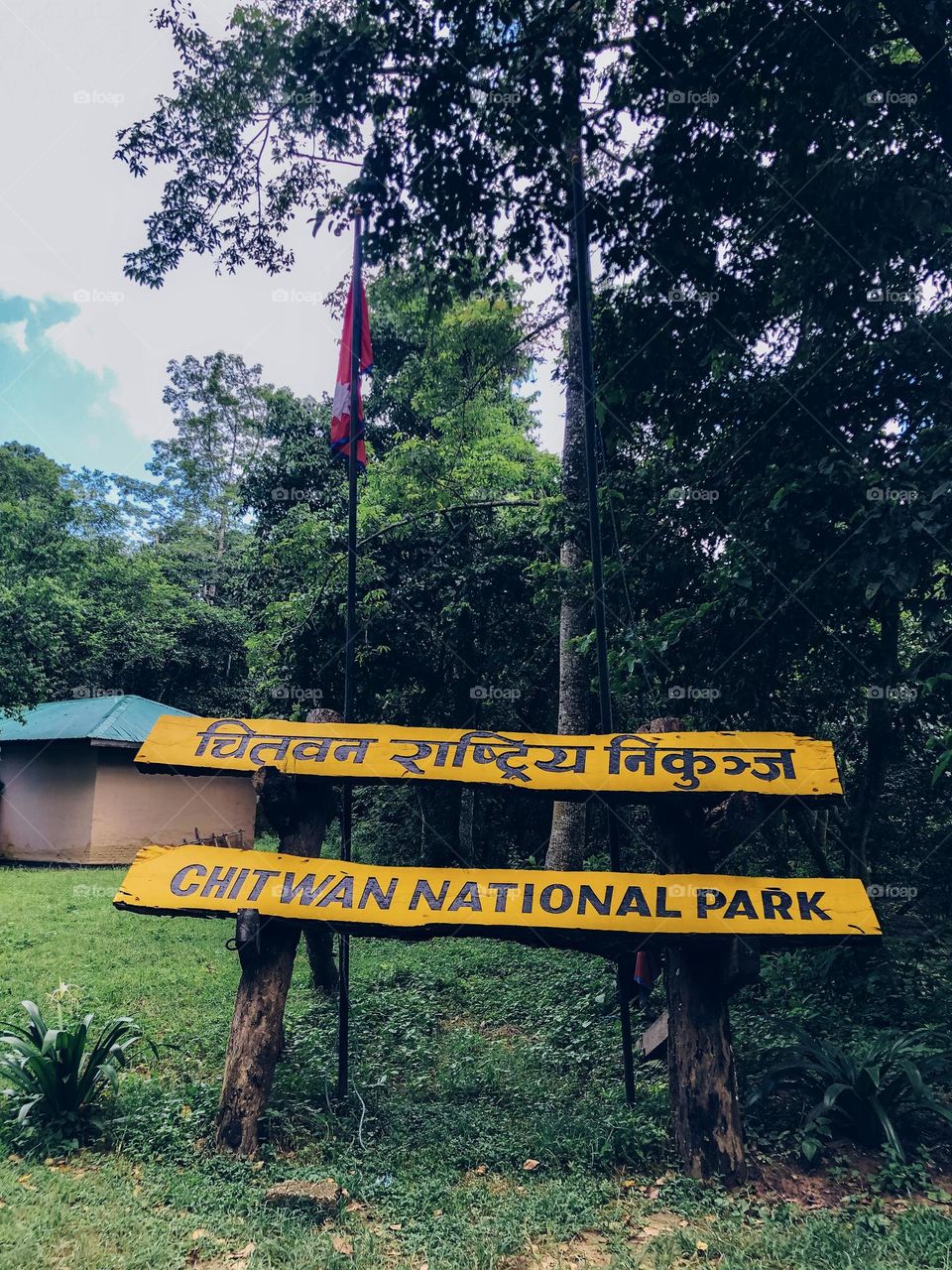 Chitwan national park