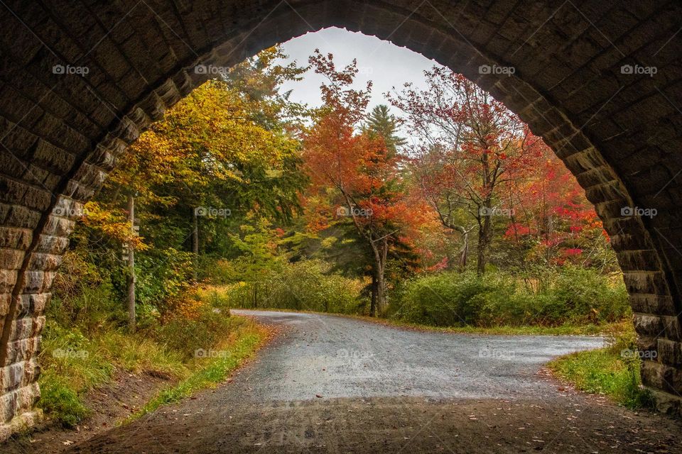 Under the Bridge.  View of Autumn foliage from the carriage road underneath a stone bridge in Acadia National Park.