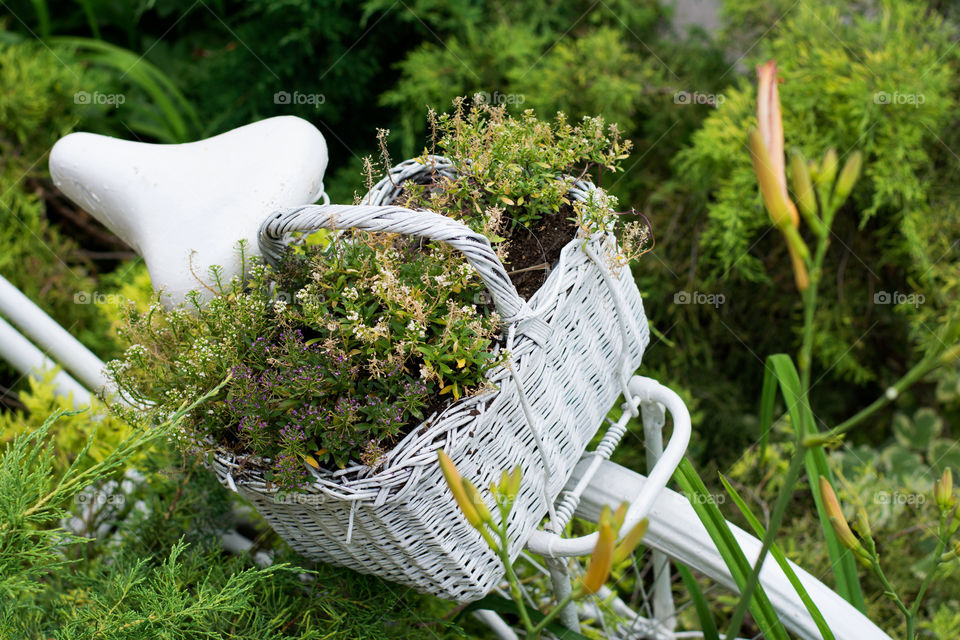 ideas for garden. great idea for gardening using old bicycle and basket