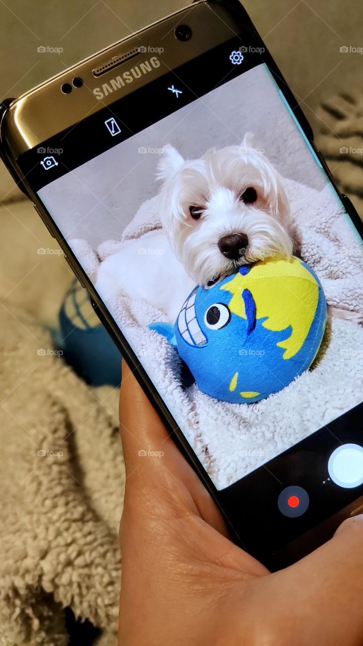 pictured with Samsung