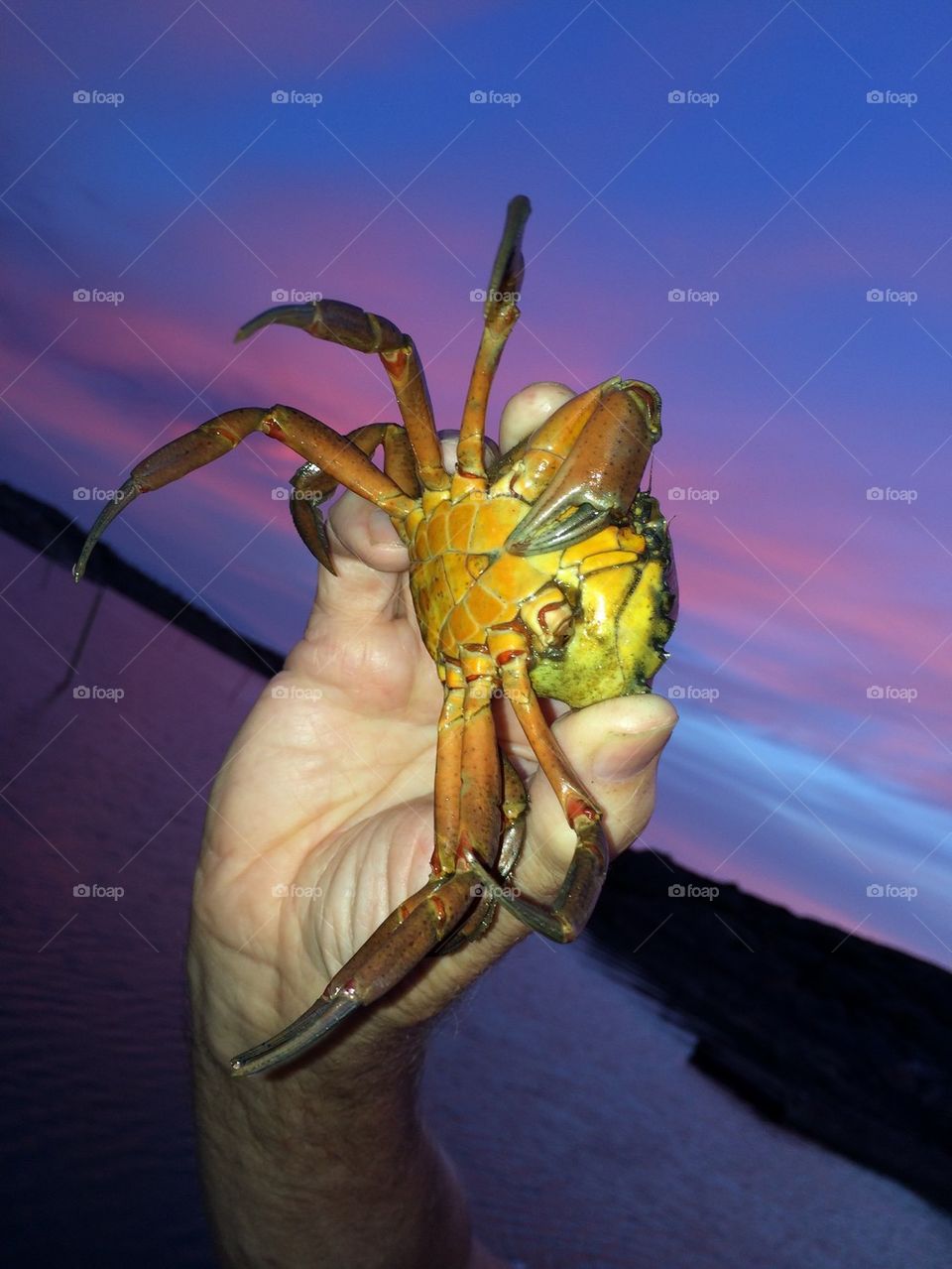 Crab fishing