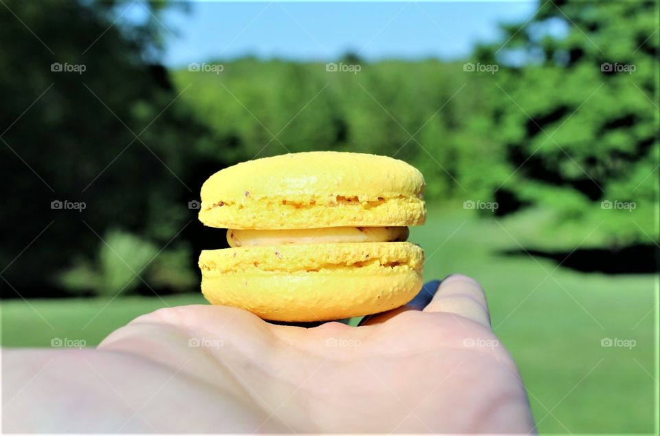 | maca maca macaroon |