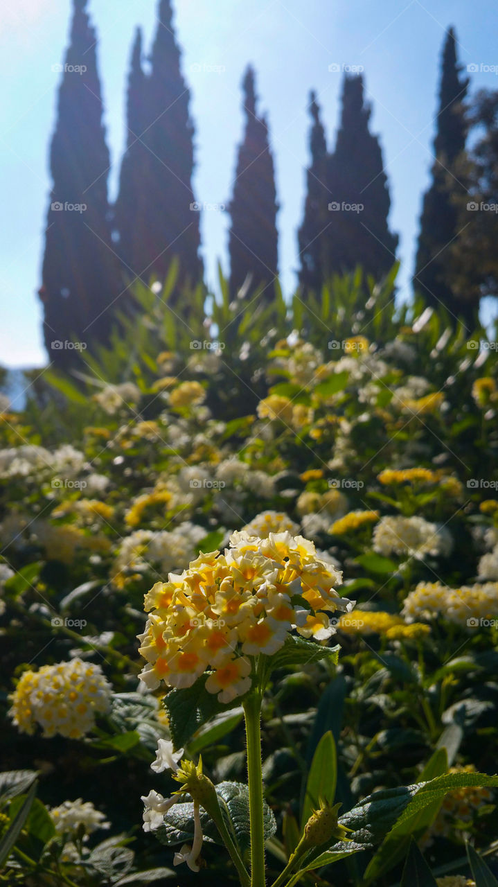 A mediterranean park in cartagena, murcia, spain